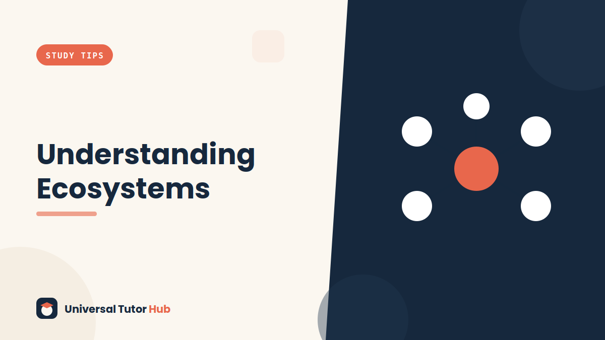 How to Understand Ecosystems and Food Chains — featured illustration