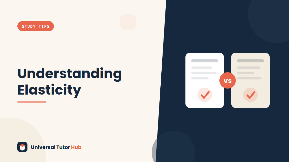 How to Understand Elasticity in Economics — featured illustration