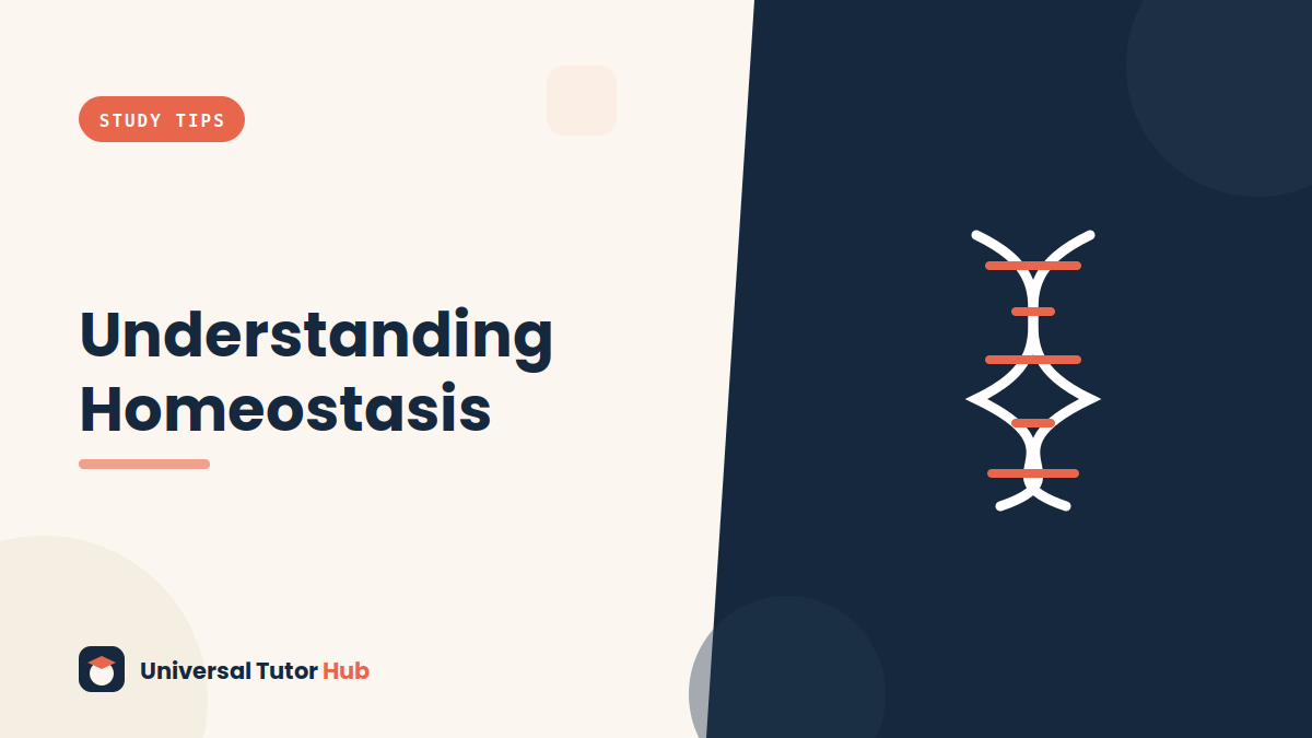 How to Understand Homeostasis — featured illustration