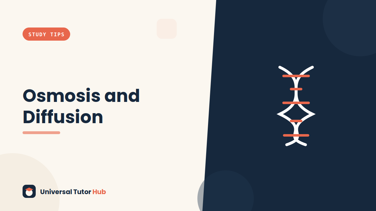 How to Understand Osmosis and Diffusion — featured illustration