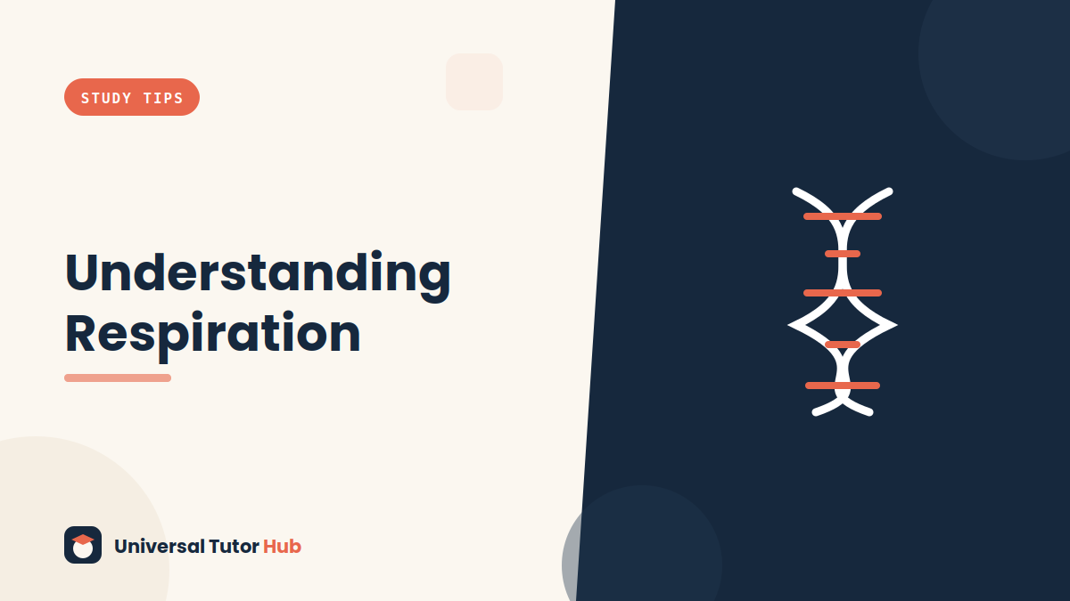 How to Understand Respiration — featured illustration