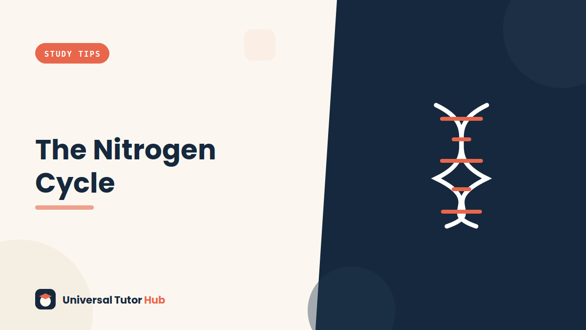 How to Understand the Nitrogen Cycle — featured illustration