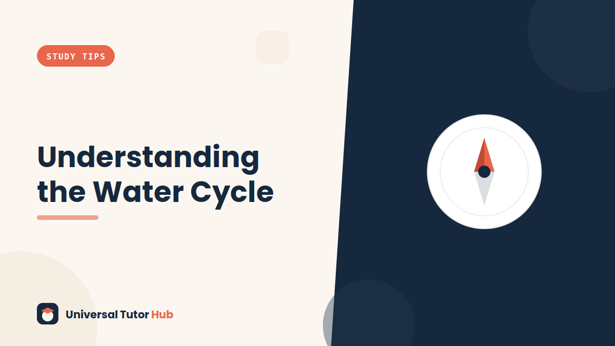 How to Understand the Water Cycle — featured illustration